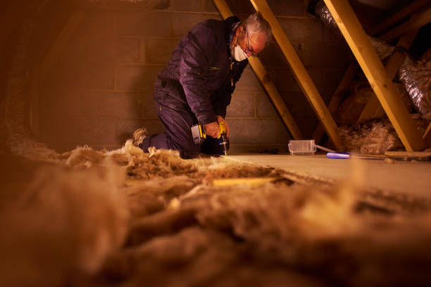 Best Insulation Installation Services in Fortville, IN